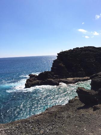 トリップアドバイザー提供