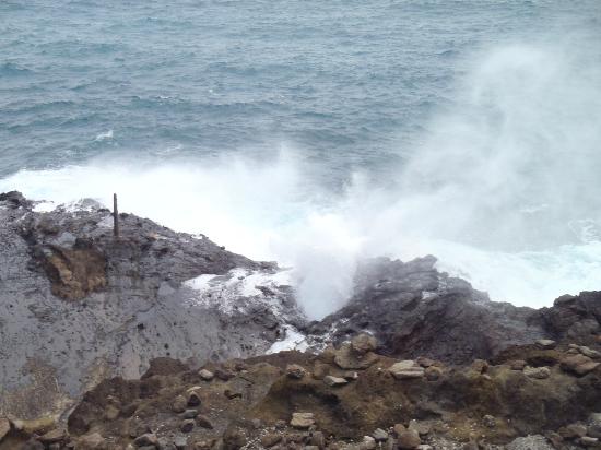 トリップアドバイザー提供
