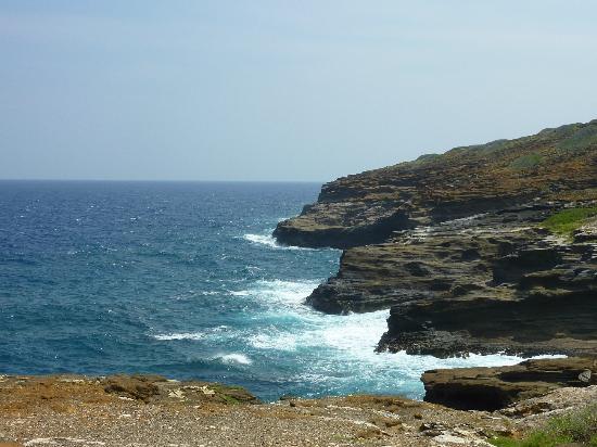 トリップアドバイザー提供