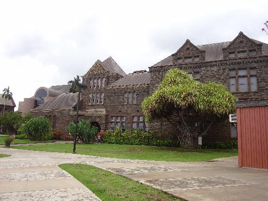 トリップアドバイザー提供