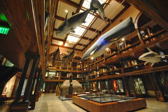 トリップアドバイザー提供