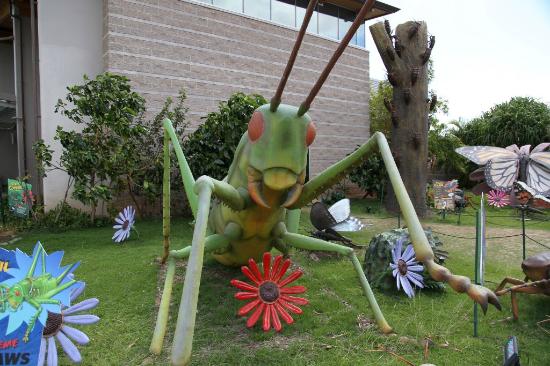 トリップアドバイザー提供