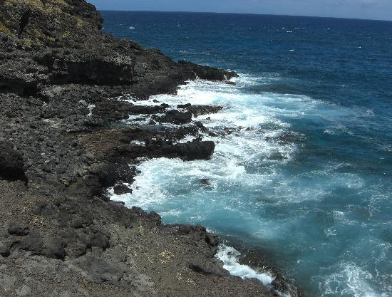 トリップアドバイザー提供