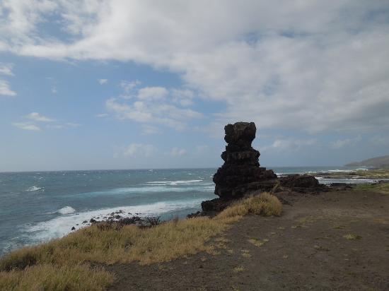 トリップアドバイザー提供