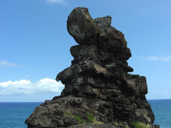トリップアドバイザー提供
