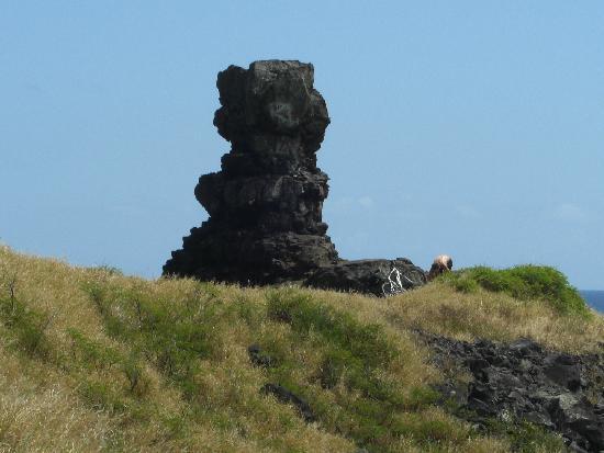 トリップアドバイザー提供