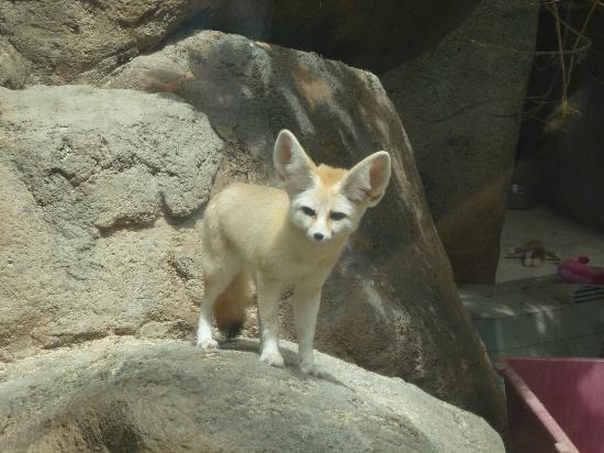 トリップアドバイザー提供