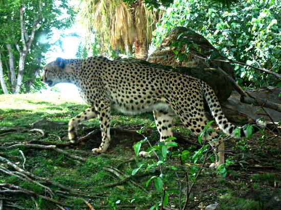 トリップアドバイザー提供