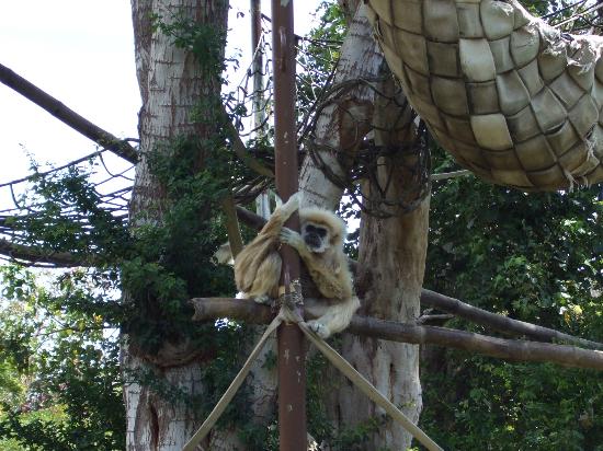 トリップアドバイザー提供