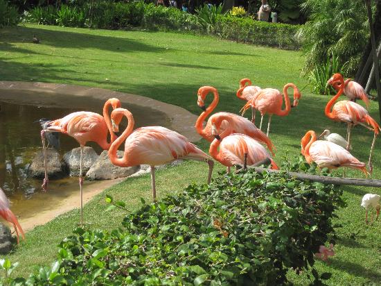 トリップアドバイザー提供