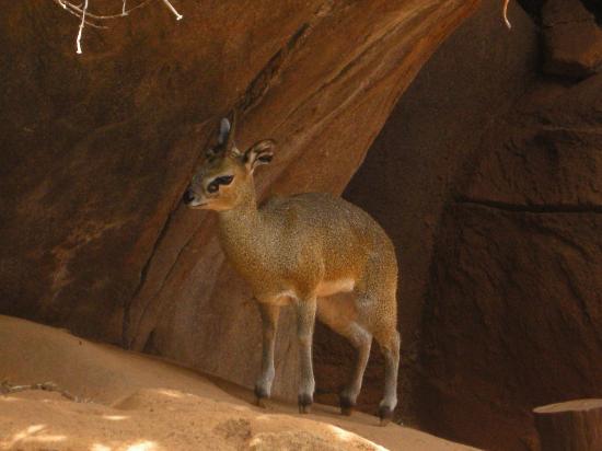 トリップアドバイザー提供