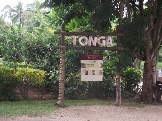 トリップアドバイザー提供