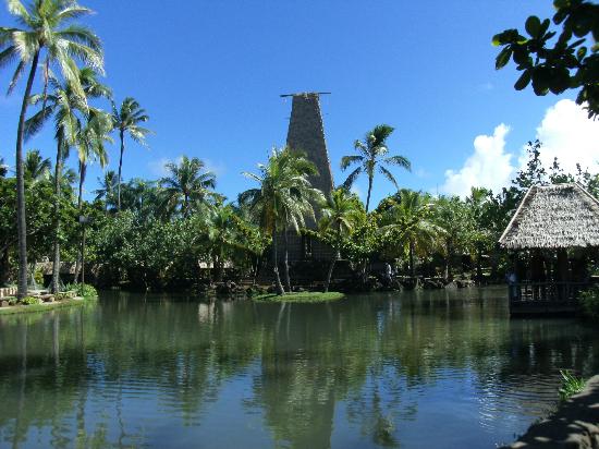 トリップアドバイザー提供