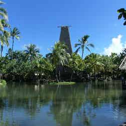 トリップアドバイザー提供