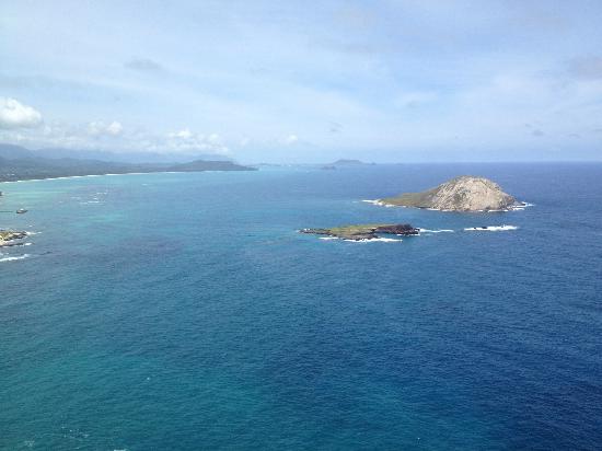 トリップアドバイザー提供