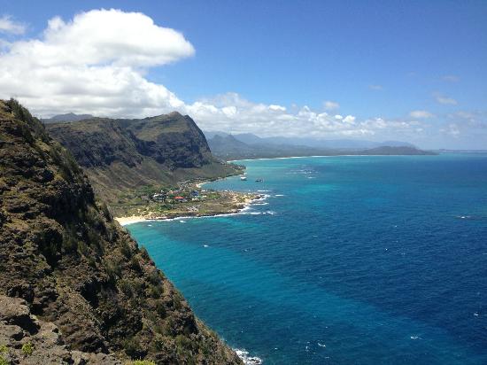 トリップアドバイザー提供