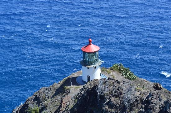 トリップアドバイザー提供