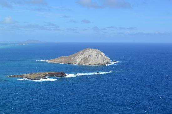 トリップアドバイザー提供