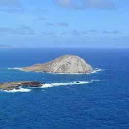 トリップアドバイザー提供