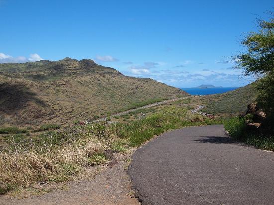 トリップアドバイザー提供