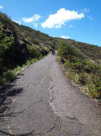 トリップアドバイザー提供