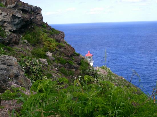 トリップアドバイザー提供