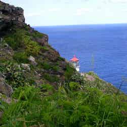 トリップアドバイザー提供