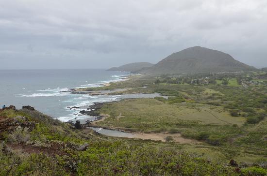 トリップアドバイザー提供