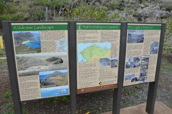 トリップアドバイザー提供