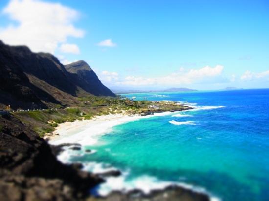 トリップアドバイザー提供