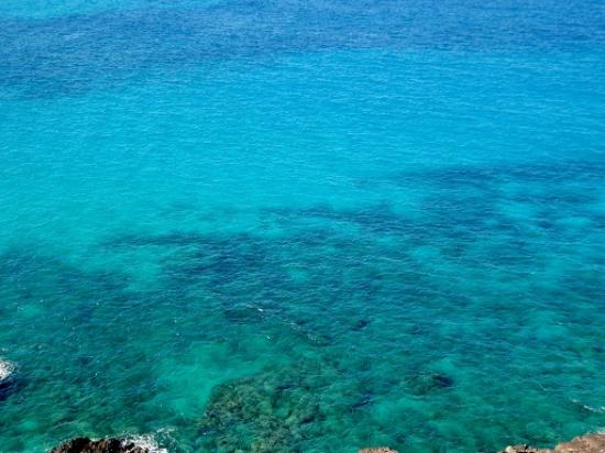 トリップアドバイザー提供