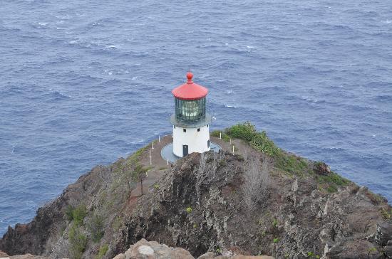 トリップアドバイザー提供