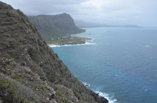 トリップアドバイザー提供