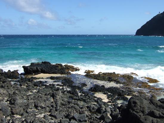 トリップアドバイザー提供