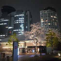 トリップアドバイザー提供