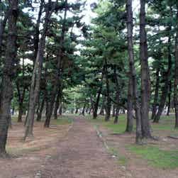 トリップアドバイザー提供