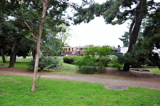 トリップアドバイザー提供