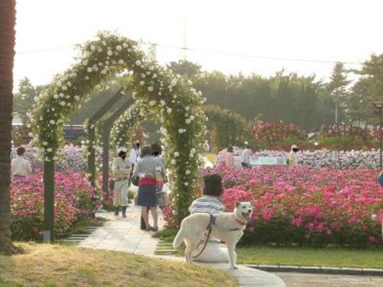 トリップアドバイザー提供