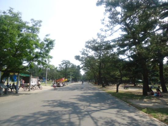 トリップアドバイザー提供