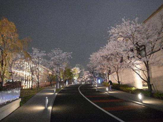 トリップアドバイザー提供