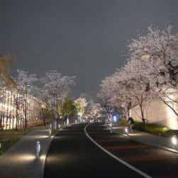 トリップアドバイザー提供