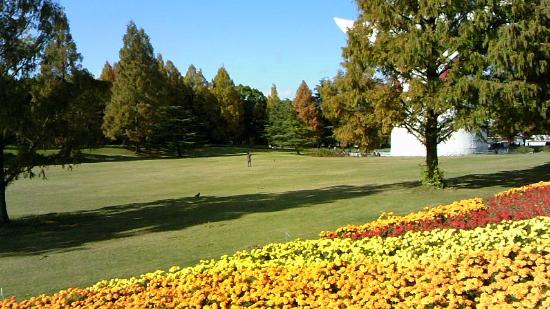 トリップアドバイザー提供