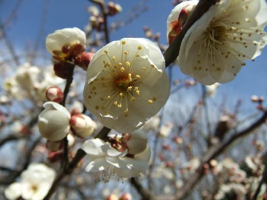 トリップアドバイザー提供