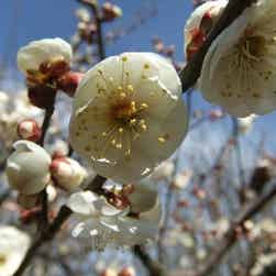 トリップアドバイザー提供