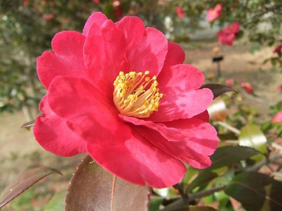 トリップアドバイザー提供