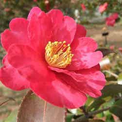 トリップアドバイザー提供