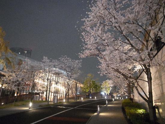 トリップアドバイザー提供