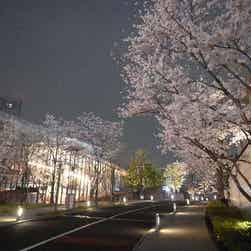 トリップアドバイザー提供