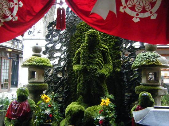 トリップアドバイザー提供