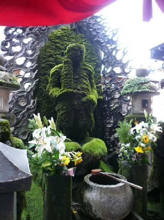 トリップアドバイザー提供